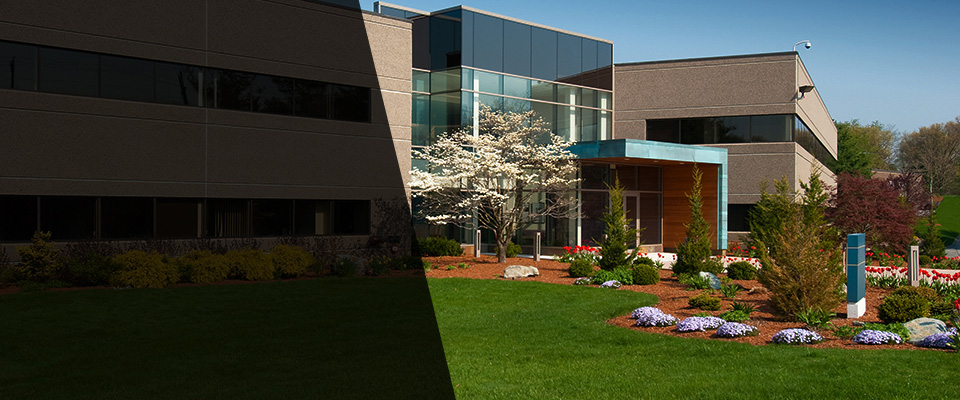 Willow Street Landscapers