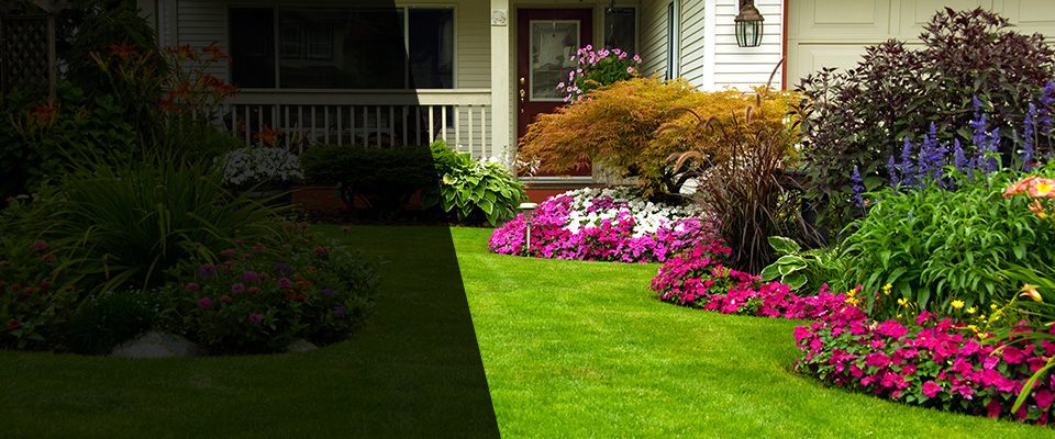 Willow Street Landscapers
