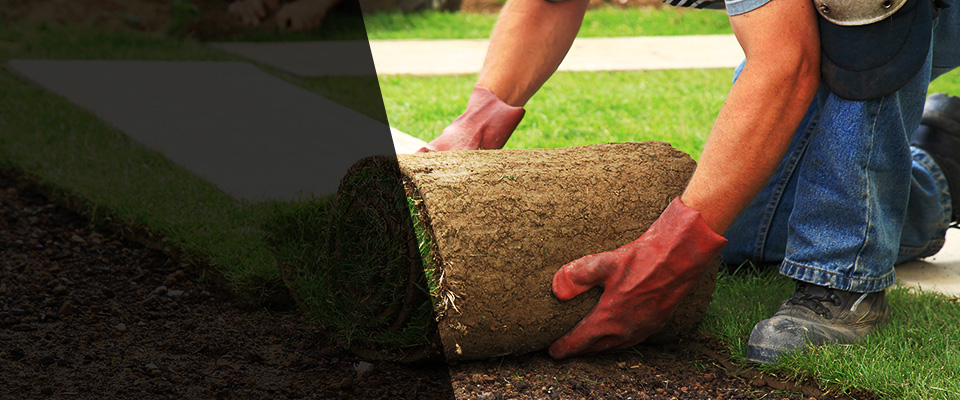 Willow Street Landscapers